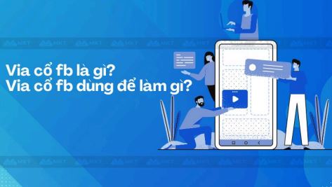 blog-widget